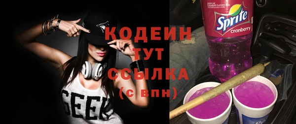 крисы Верхний Тагил