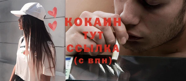 ALPHA PVP Бородино