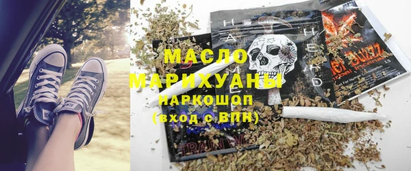 гидра Бронницы