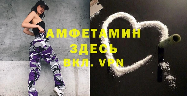 ECSTASY Богданович