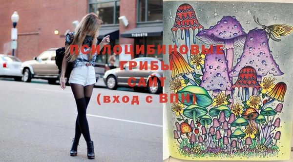ECSTASY Богородицк
