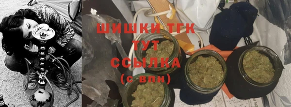 спиды Верея