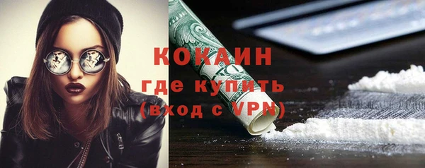 гидра Бронницы