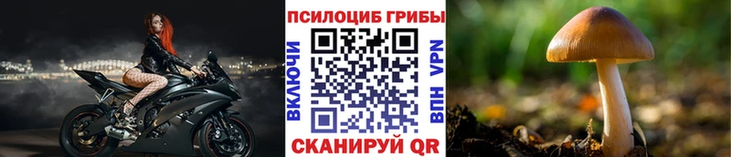 где купить наркотик  Вилюйск  omg зеркало  Галлюциногенные грибы ЛСД 